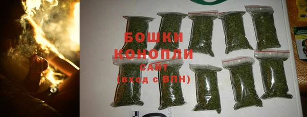 сатива Михайловка