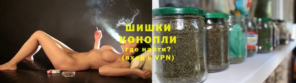 сатива Михайловка