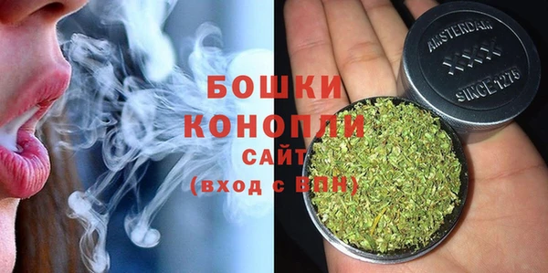 сатива Михайловка